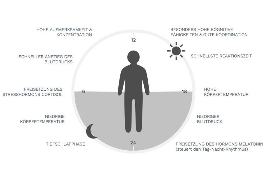 Die innere Uhr des Menschen